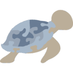 Tortuga de mar