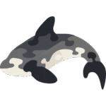 Orca