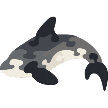Orca